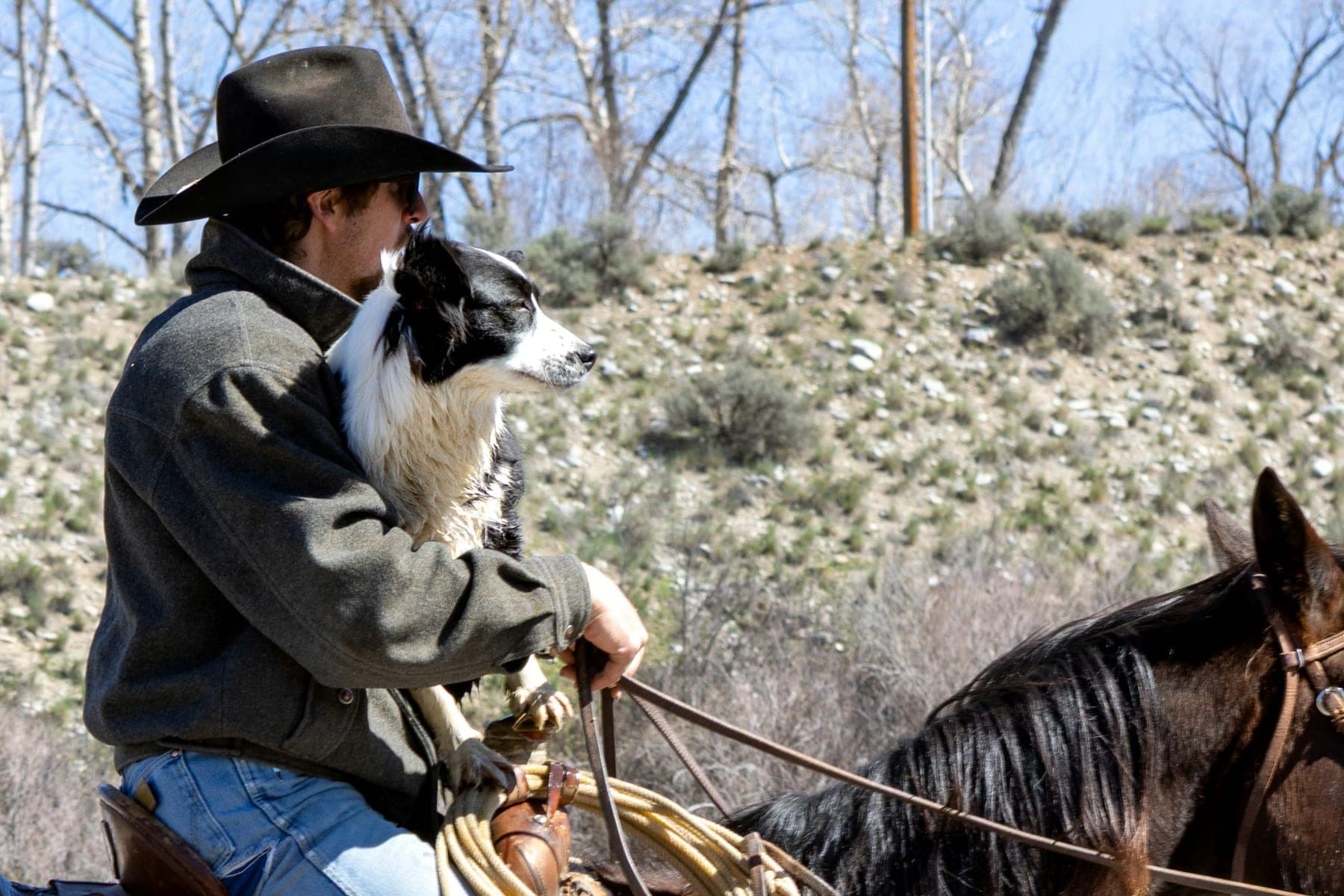 A cowboy on horseback holding a black and white border collie against his chest