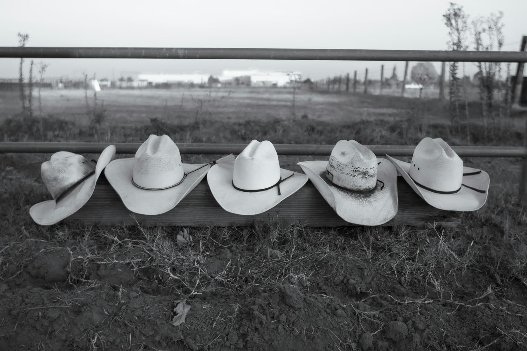 A row of cowboy hats resting on a fence rail