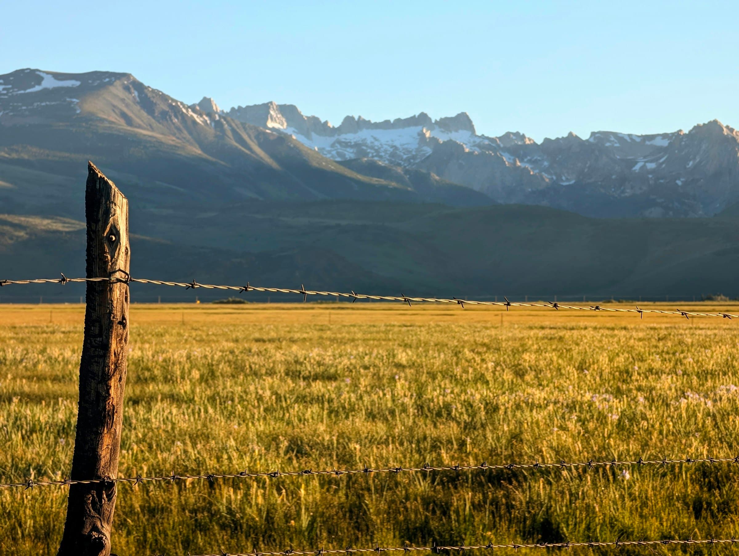 A wire fence crossing a field with mountains beyond